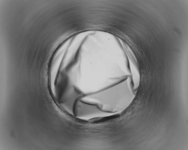 X0000113001143200909241256