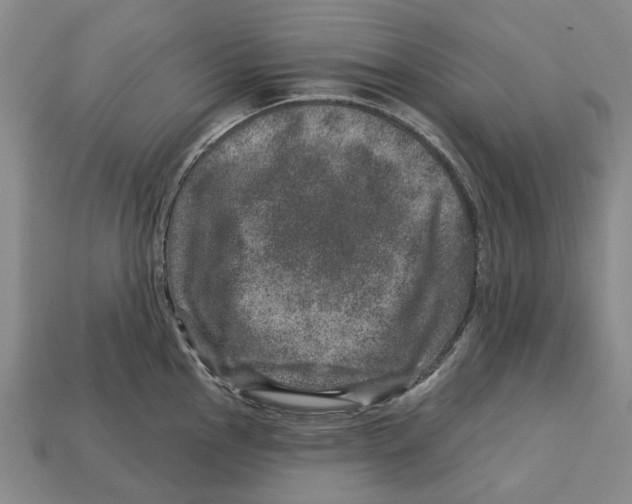 X0000113001145200909241256