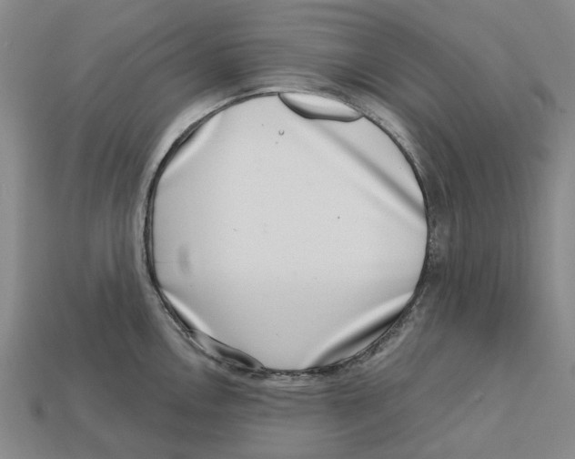 X0000113001146200909241256