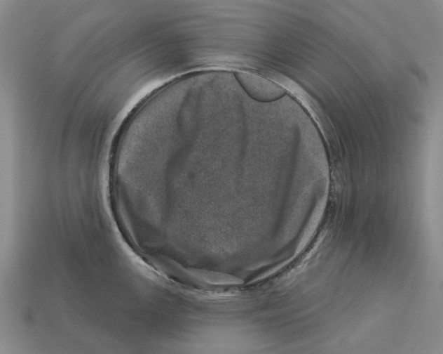 X0000113001147200909241256