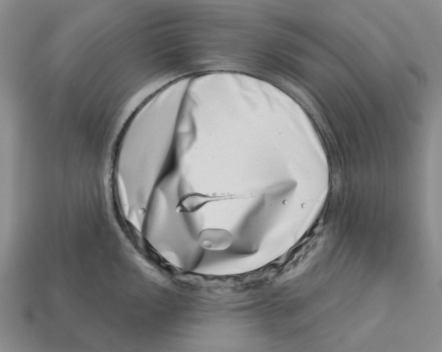 X0000113001149200909241256