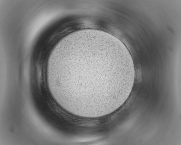 X0000113001150200909241256