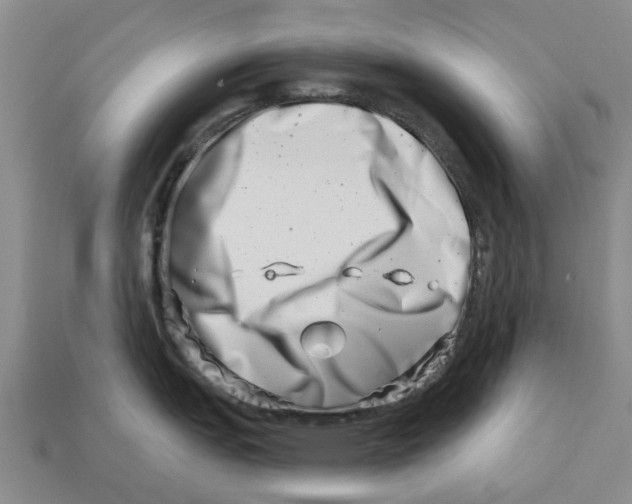 X0000113001151200909241256