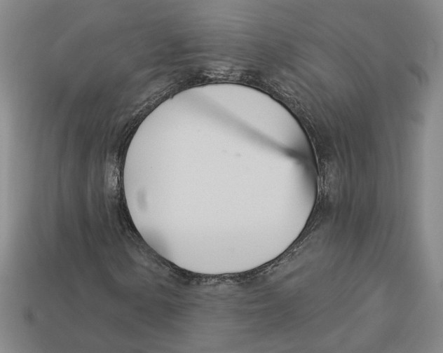 X0000113001154200909241255