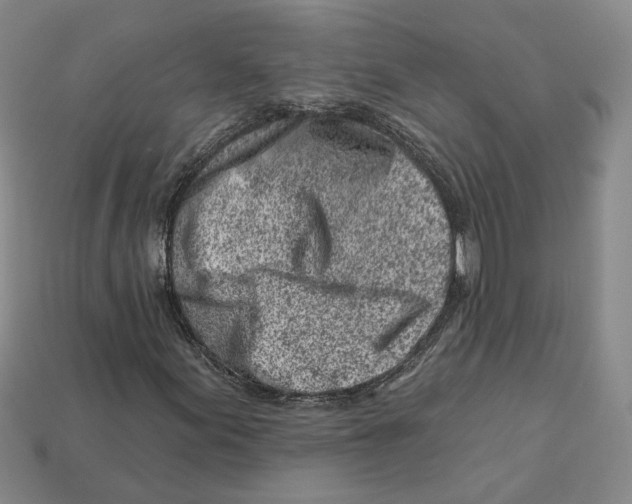 X0000113001155200909241255