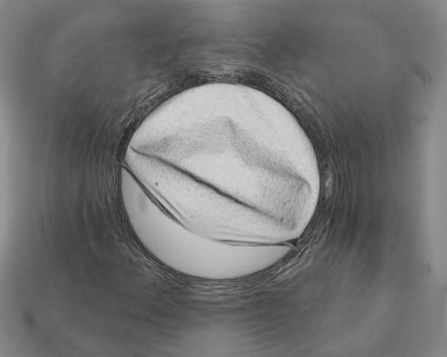 X0000113001156200909241255