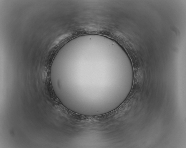 X0000113001157200909241255