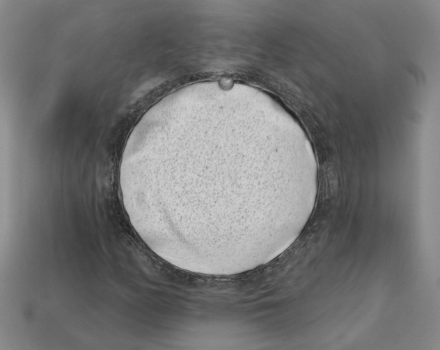 X0000113001158200909241255