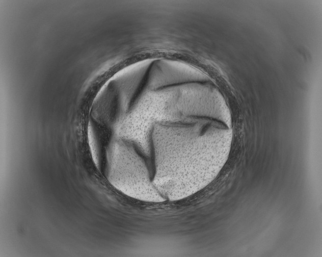 X0000113001159200909241255