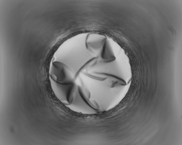 X0000113001160200909241255