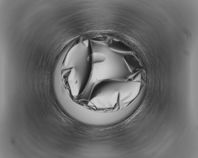 X0000113001161200909241255