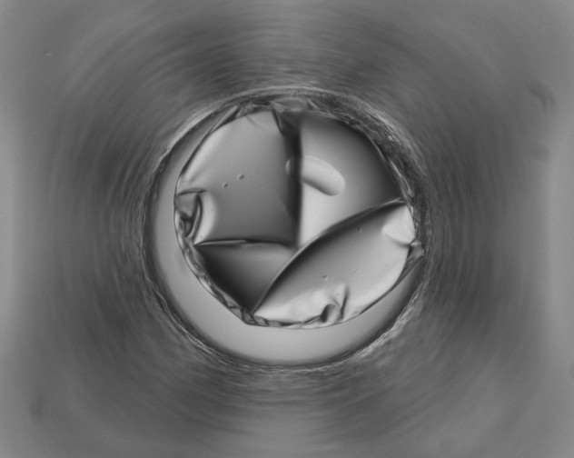 X0000113001162200909241255