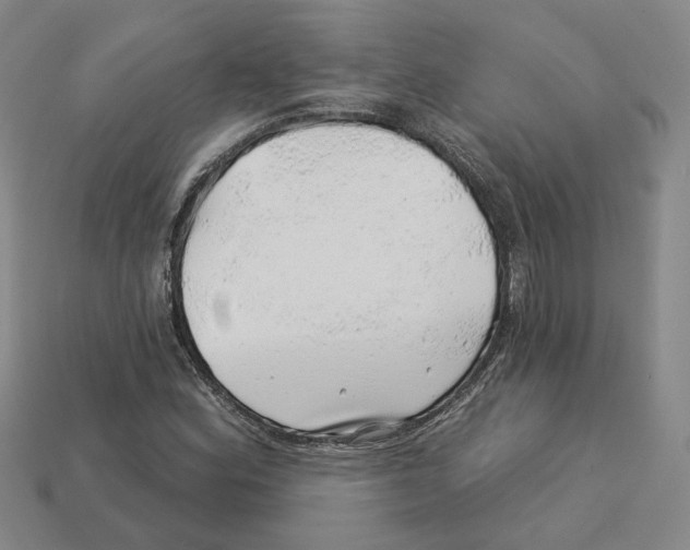 X0000113001164200909241255