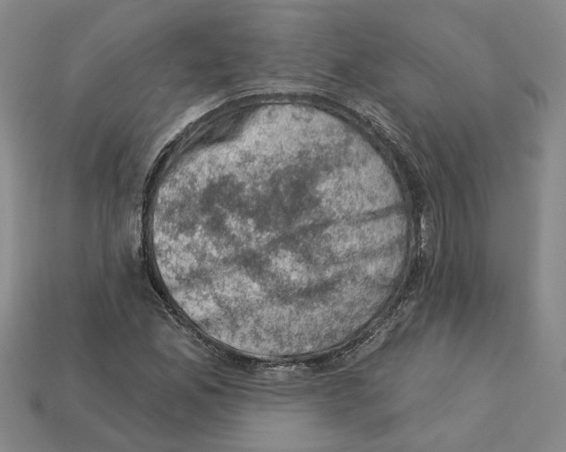 X0000113001165200909241255