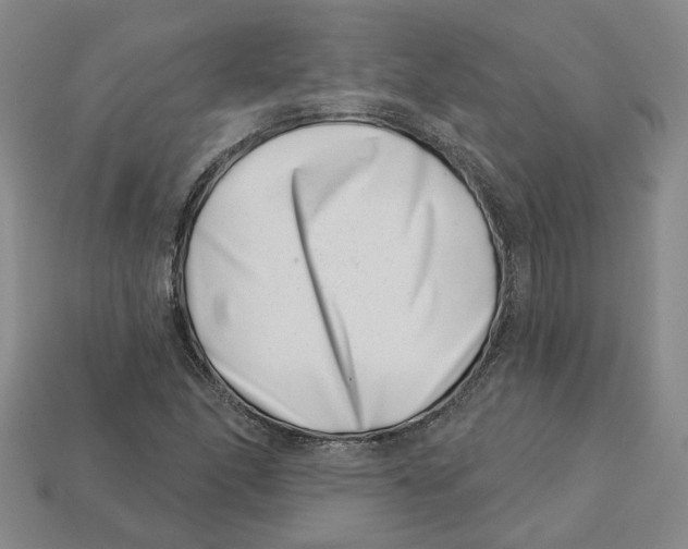 X0000113001166200909241255