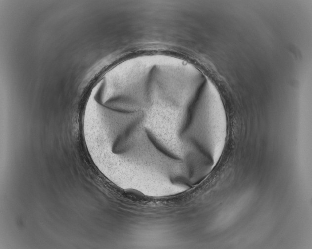 X0000113001167200909241255