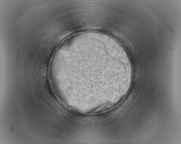 X0000113001169200909241255