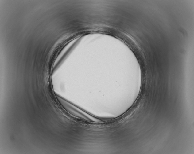 X0000113001172200909241255