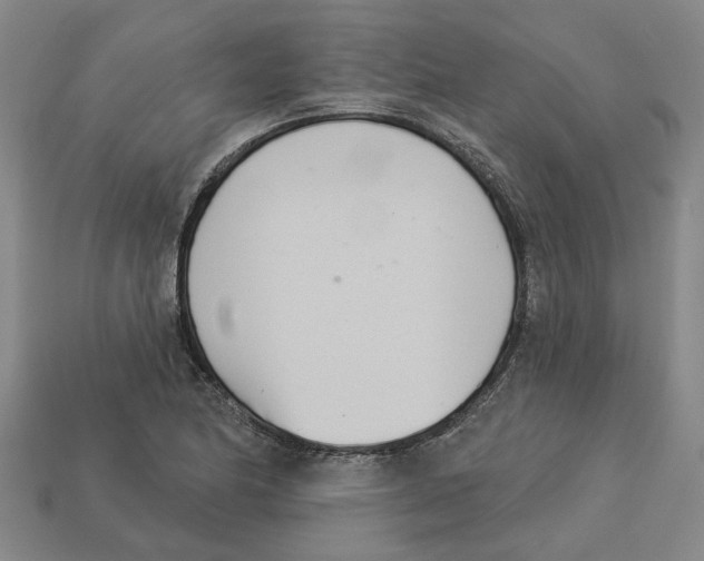 X0000113001174200909241255