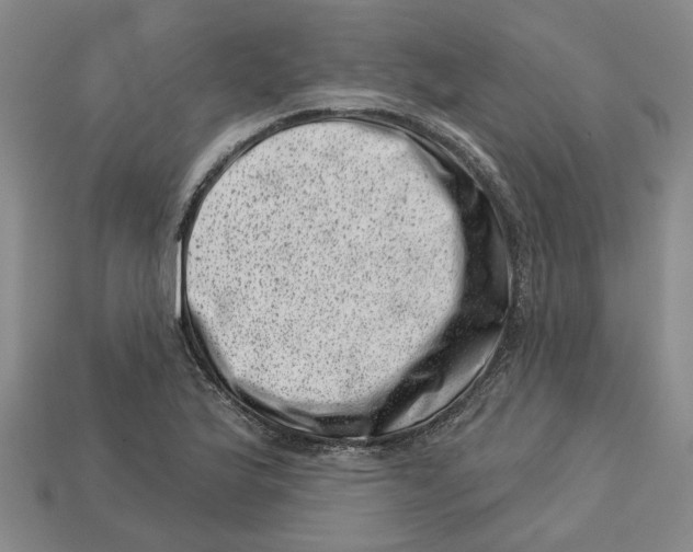 X0000113001175200909241255