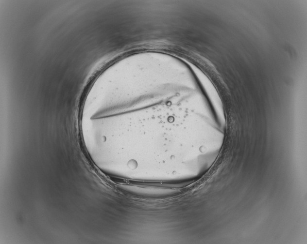 X0000113001176200909241255