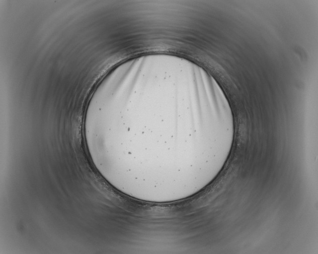 X0000113001178200909241255