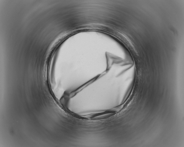 X0000113001180200909241255