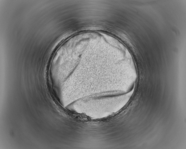 X0000113001181200909241255