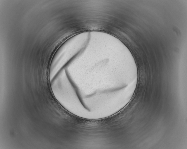 X0000113001182200909241255