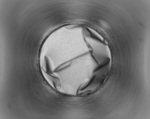 X0000113001184200909241255