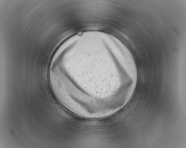 X0000113001186200909241255