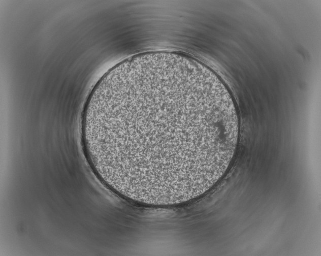 X0000113001187200909241255