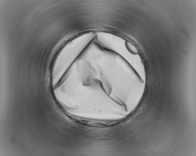 X0000113001188200909241255