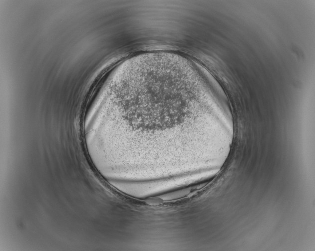 X0000113001189200909241255