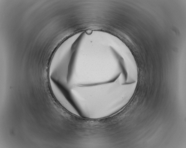 X0000113001190200909241255