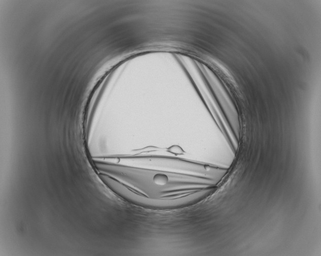 X0000113001192200909241255