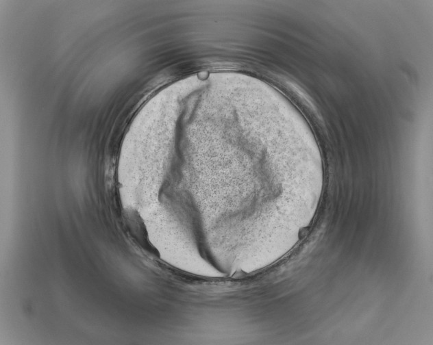 X0000113001193200909241255