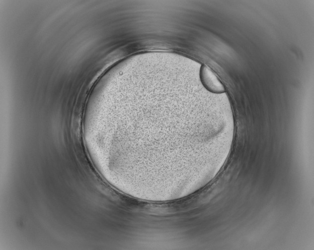 X0000113001194200909241255