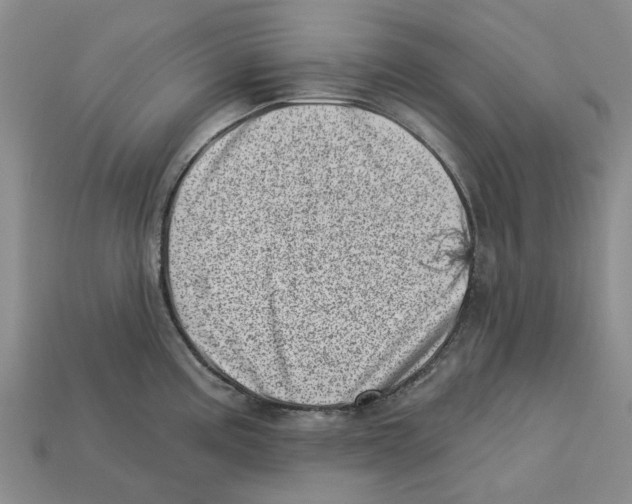 X0000113001195200909241255