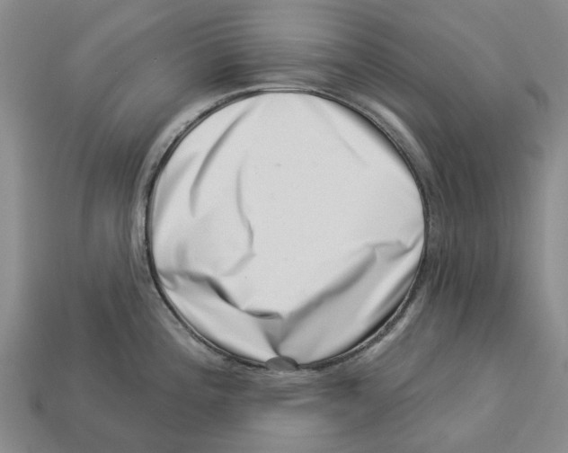 X0000113001196200909241255