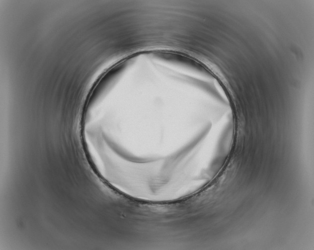 X0000113001197200909241255