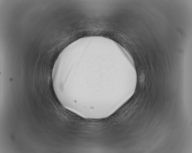 X0000113001204200909241254