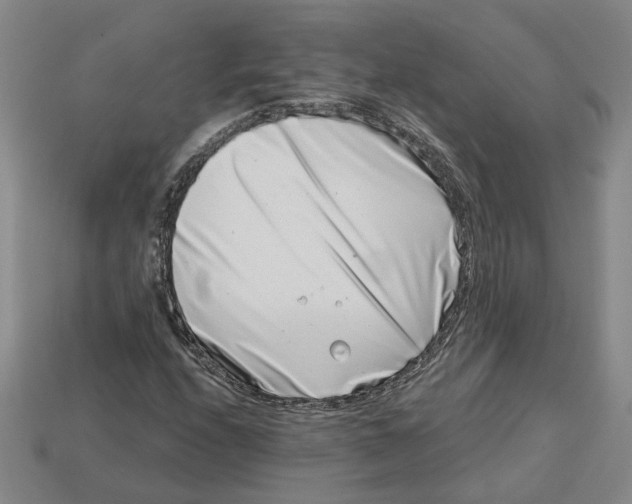 X0000113001208200909241254