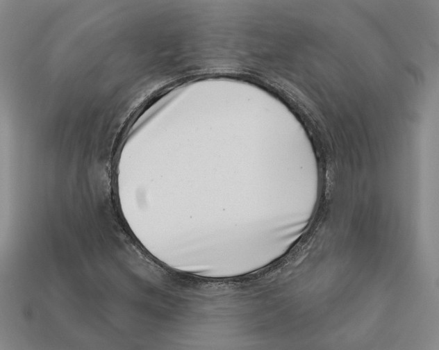 X0000113001212200909241254