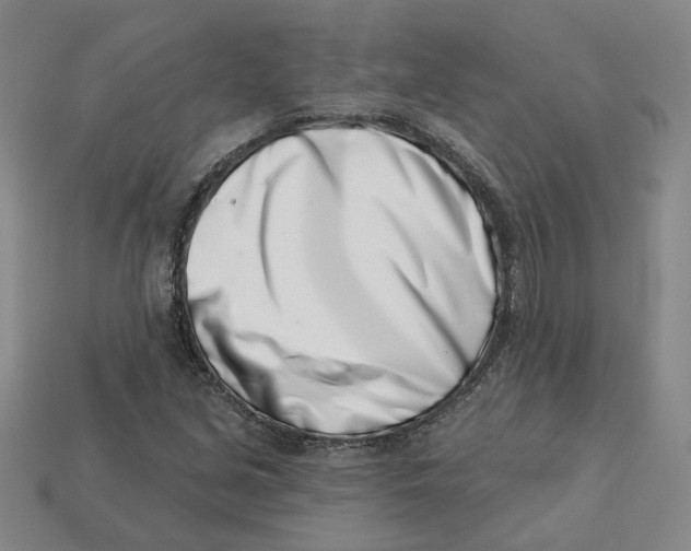 X0000113001213200909241254