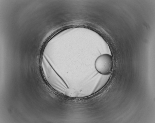 X0000113001216200909241254