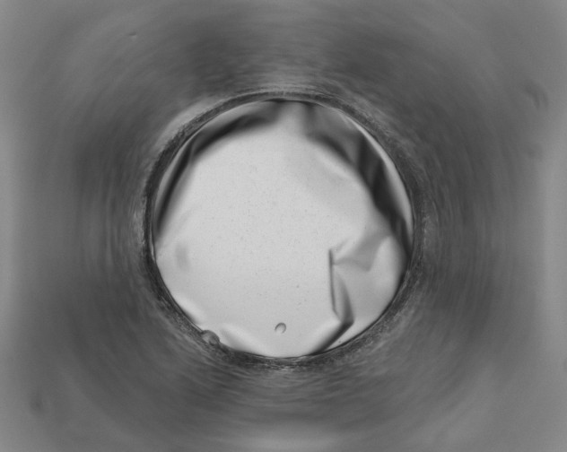 X0000113001222200909241254