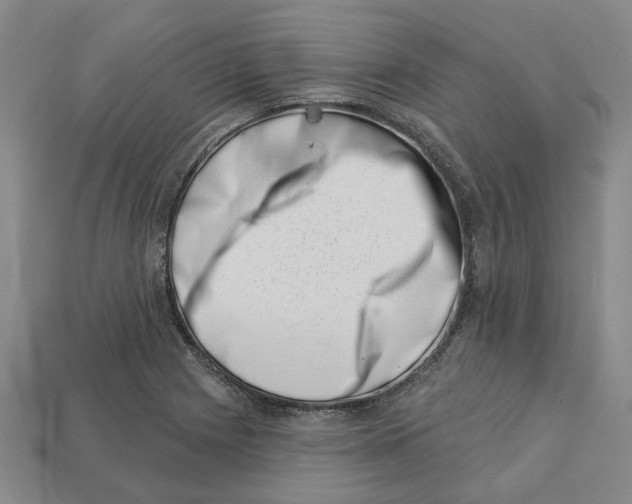 X0000113001225200909241254