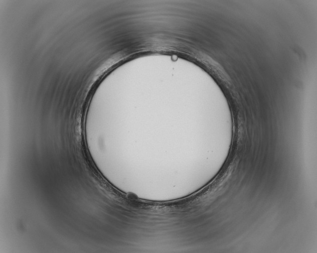 X0000113001226200909241254