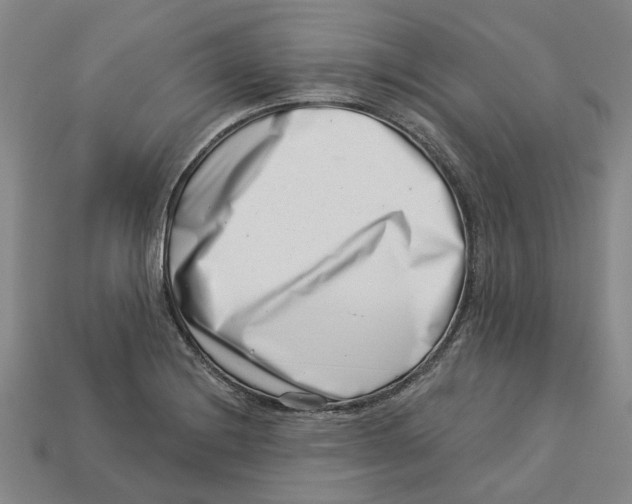 X0000113001228200909241254